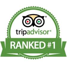 TripAdvisor ranked #1